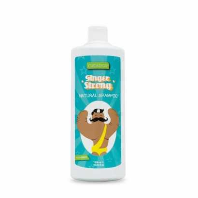 Antioxidant shampoo Ginger Strong Valquer Cuidados 1 L-Shampoos-Verais