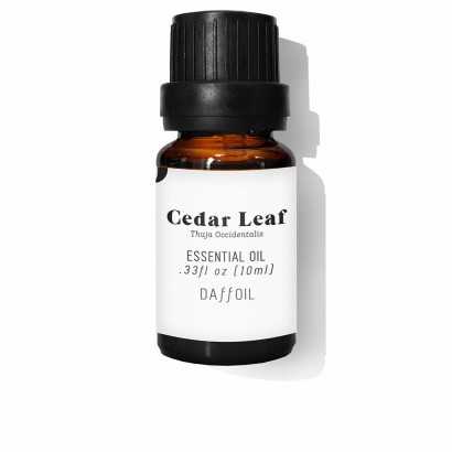 Essential oil Daffoil Cedar Leaf Cedar 10 ml-Moisturisers and Exfoliants-Verais