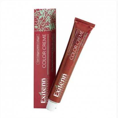 Teinture permanente Exitenn Color Creme Fuchsia (60 ml)-Teintures capillaires-Verais