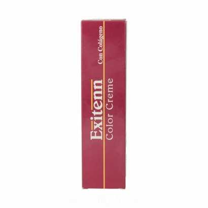 Dauerfärbung Exitenn Color Creme Nº 10/0.070 (60 ml)-Lippenstift und Lipgloss-Verais