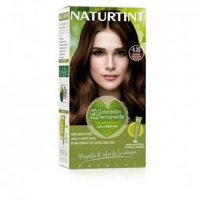 Permanent Dye Naturtint Naturtint 4.35 marrón capuccino intenso Ammonia-free (170 ml)-Hair Dyes-Verais