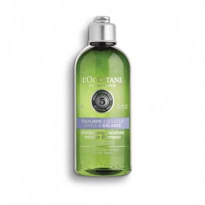 Shampoo L'Occitane En Provence Aromachology (300 ml)-Shampoos-Verais