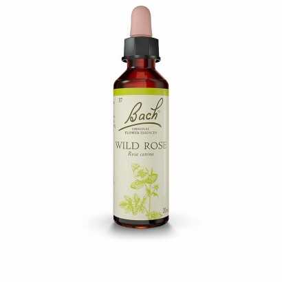 Flower Essence Bach Wild Rose-Face and body treatments-Verais