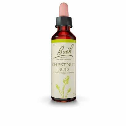 Flower Essence Bach Chestnut Bud-Face and body treatments-Verais