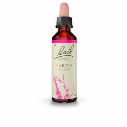 Flower Essence Bach Larch-Face and body treatments-Verais