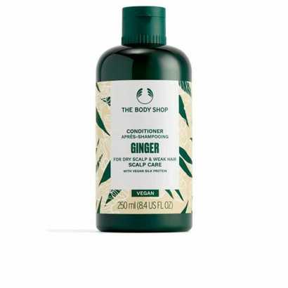 Conditioner The Body Shop Ginger 250 ml-Softeners and conditioners-Verais
