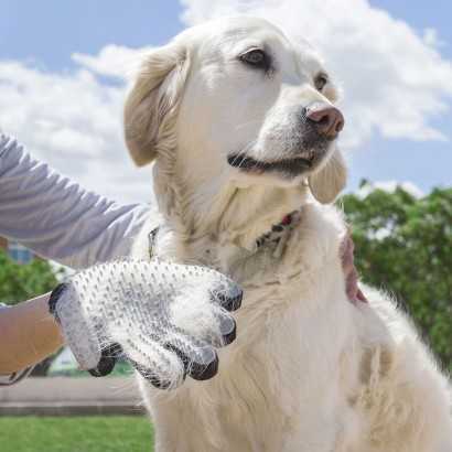 Bürsthandschuh für Haustiere Relpet InnovaGoods-Gesundheit und Hygiene-Verais